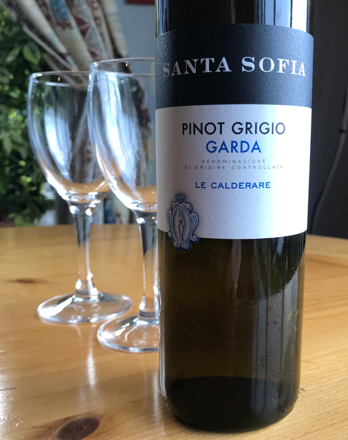 Pinot Grigio Santa Sofia T/A (131)