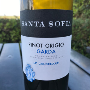 Pinot Grigio Santa Sofia T/A (131)